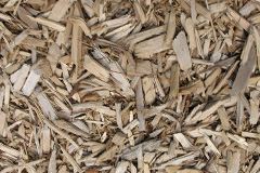 biomass boilers Hamnavoe