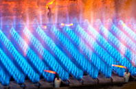 Hamnavoe gas fired boilers